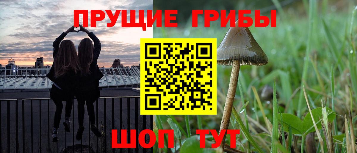 купить наркотики сайты  Галлюциногенные грибы GOLDEN TEACHER  Буйнакск  Вход с VPN  Галлюциногенные грибы MAGIC MUSHROOMS 