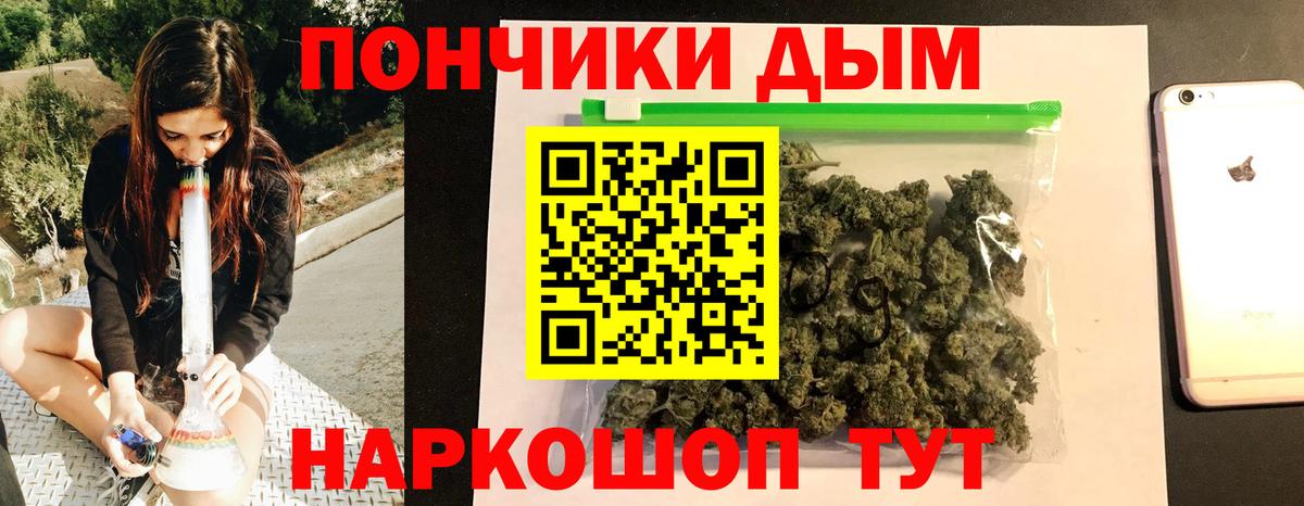 Бошки Шишки OG Kush Буйнакск